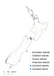 Veronica benthamii distribution map based on databased records at AK, CHR & WELT.
 Image: K.Boardman © Landcare Research 2022 CC-BY 4.0